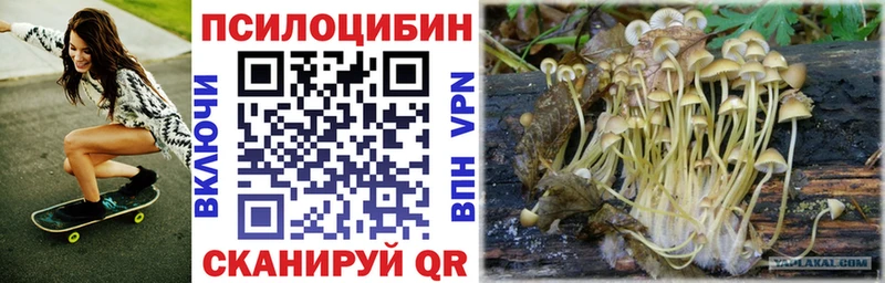 купить   Сибай  Псилоцибиновые грибы мухоморы 